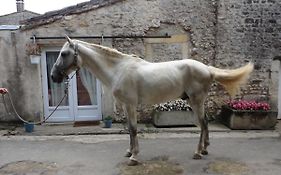 Gite Des Ecuries Du Seillery