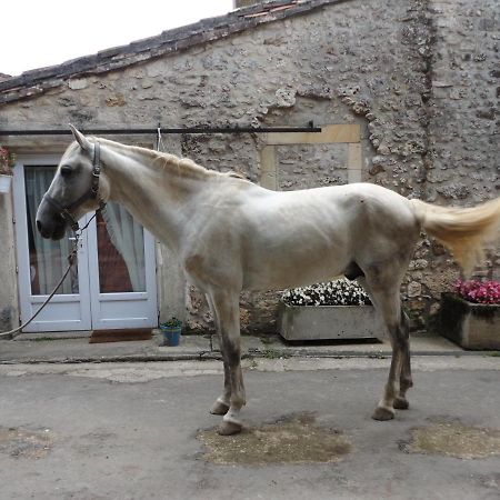 Gite Des Ecuries Du Seillery La Clisse Extérieur photo