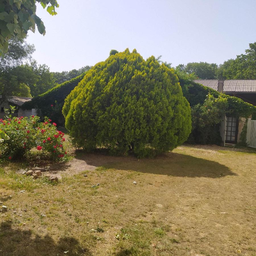 Gite Des Ecuries Du Seillery La Clisse Extérieur photo